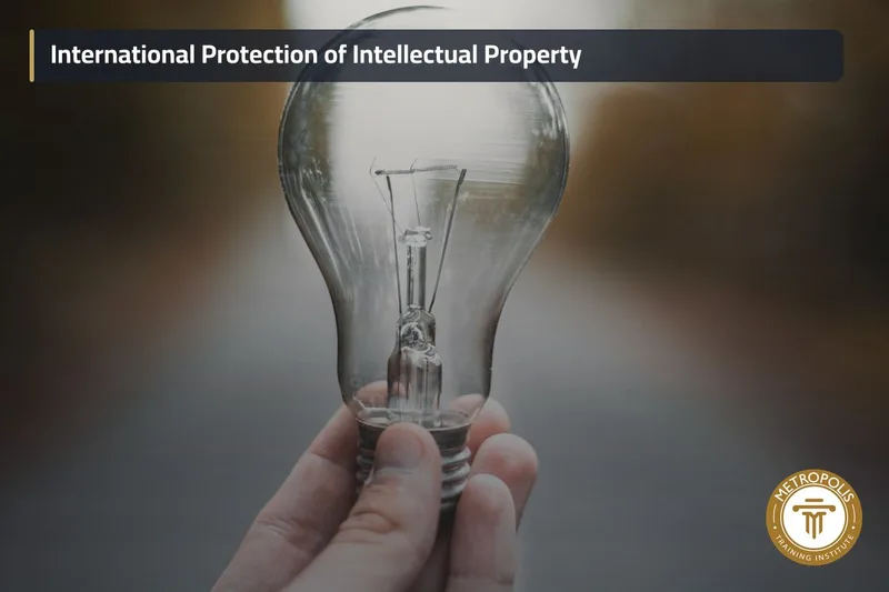IP Rights