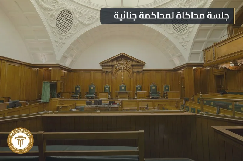 محاكاة محاكمة