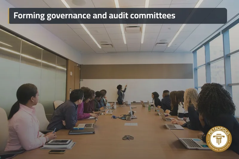 Governance structure